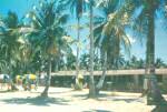 Tumon Beach Service club_tn.jpg