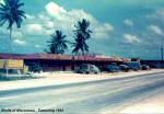 shells-of-micronesia-tumuning_r1.jpg