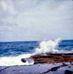 neely-0217_r1