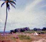 neely-0292_r1