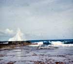 neely-0298_r1