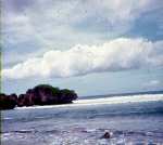 neely-0311_r1