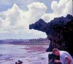 neely-0315_r1