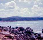 neely-0327_r1