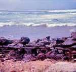 neely-0341_r1