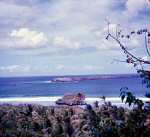 neely-0391_r1