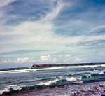 neely-0405_r1